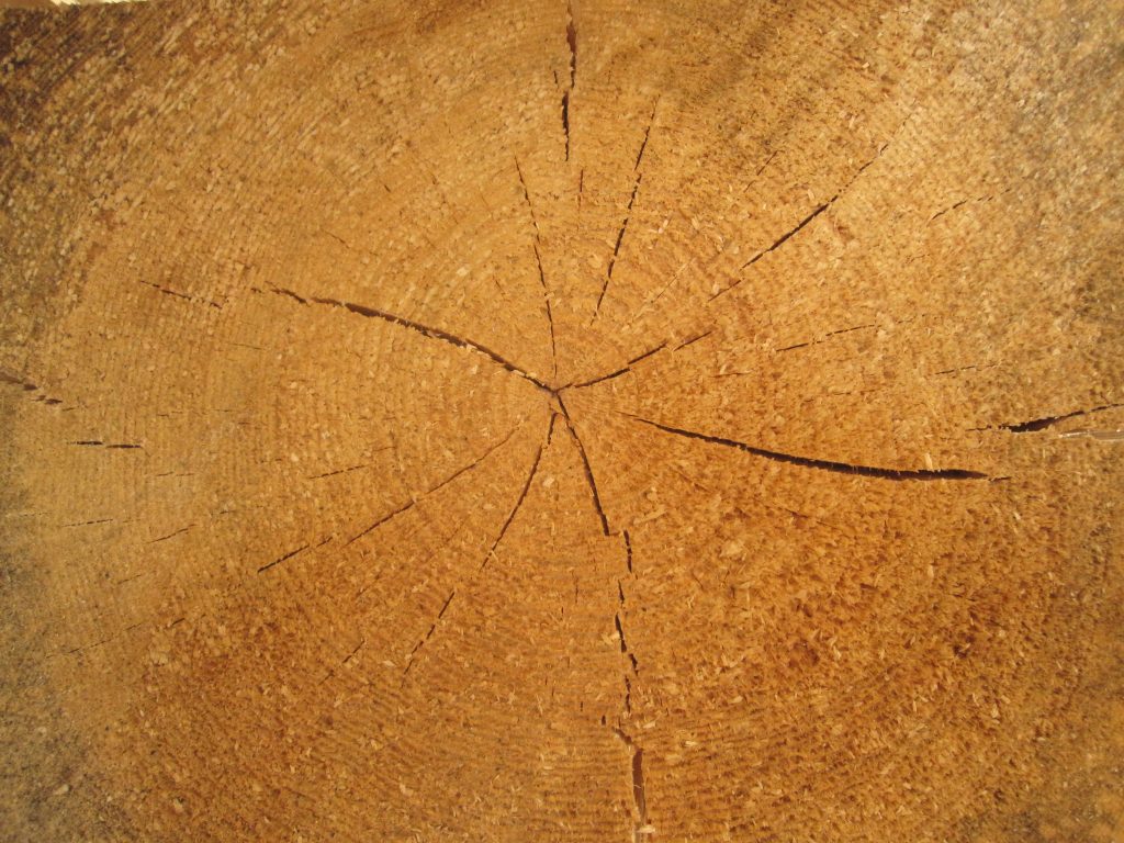 Holz in seiner natürlichen Form